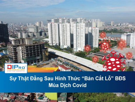 Su-That-Dang-Sau-Hinh-Thuc-Ban-Cat-Lo-BDS-Mua-Dich-Covid